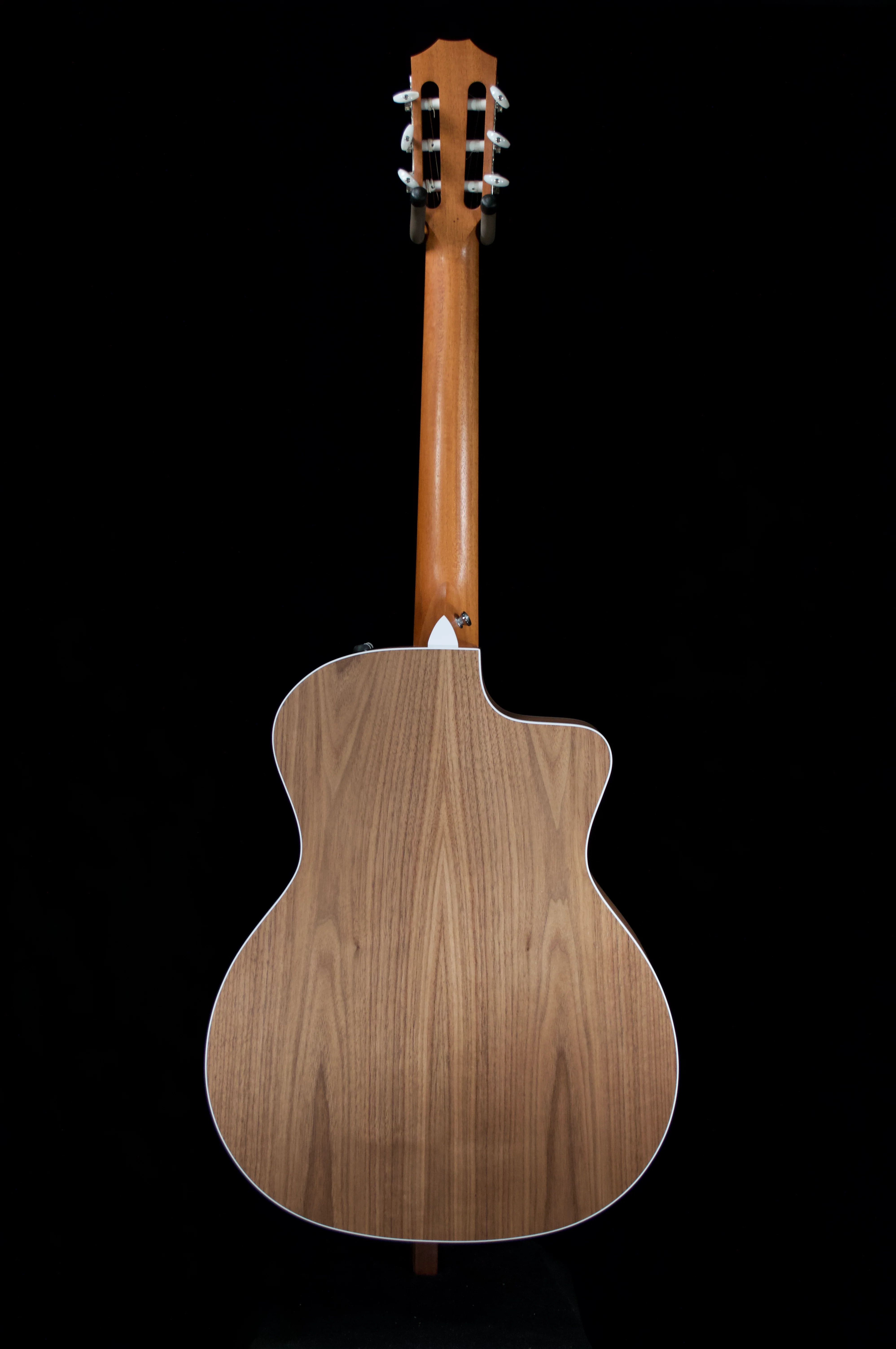 ✅ Taylor 214ce Nylon string - Image 4